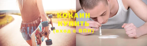 стафф Медногорск