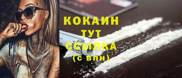 тгк Мегион