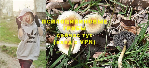 стафф Медногорск