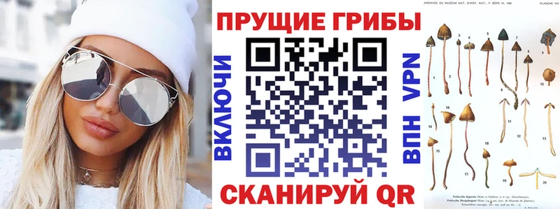 Галлюциногенные грибы мицелий  дарк нет состав  Змеиногорск 